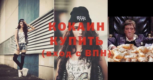 дживик Абинск