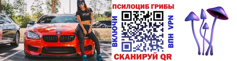 Галлюциногенные грибы мицелий  магазин  наркотиков  Таштагол 